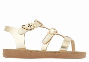 Kids' Ancient Greek Sandals Little Grace Kelly Soft Flat Sandals Gold White | AAJ2843VV