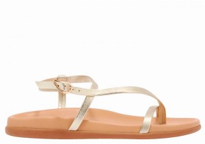 Women Ancient Greek Sandals Aimilia Back-Strap Sandals Gold White | LGU3233PB