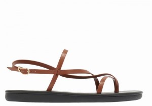 Women Ancient Greek Sandals Alethea Back-Strap Sandals Dark Brown | FPB6637BS