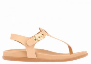 Women Ancient Greek Sandals Alki Flip Flop Back-Strap Sandals Beige | KJG7450BX