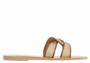 Women Ancient Greek Sandals Desmos Slide Sandals Beige Brown | DPG875RN