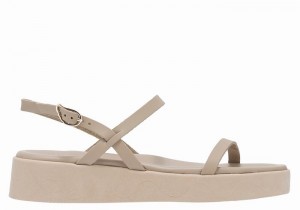 Women Ancient Greek Sandals Evriali Leather Platform Sandals Grey Brown | KLH65100IA