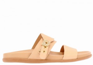 Women Ancient Greek Sandals Latria Slide Sandals Beige | USZ8348DY