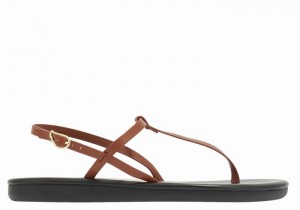 Women Ancient Greek Sandals Lito Flip Flop Back-Strap Sandals Dark Brown | FIJ6682YB