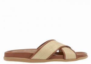 Women Ancient Greek Sandals Thais Footbed Slide Sandals Beige Brown | CDP5154SI