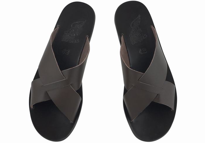 Men Ancient Greek Sandals Bios Slide Sandals Chocolate | DWC7320RD