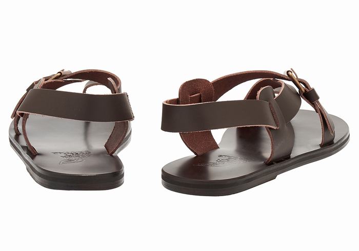 Men Ancient Greek Sandals Paris Leather Toe-Post Sandals Chocolate | SPV473WQ