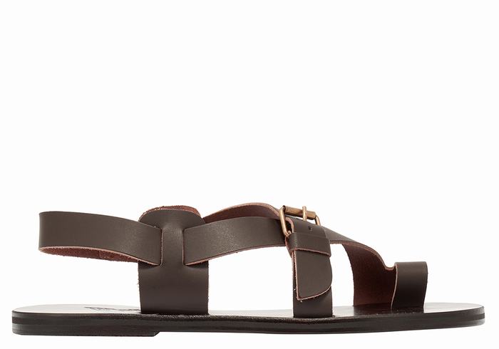 Men Ancient Greek Sandals Paris Leather Toe-Post Sandals Chocolate | SPV473WQ