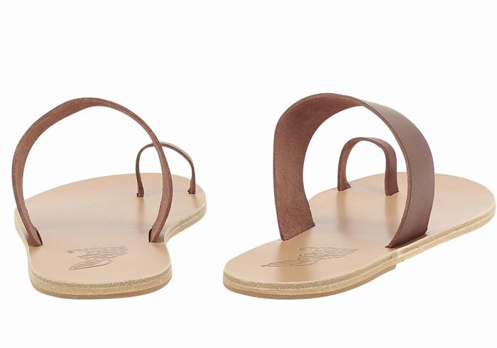 Men Ancient Greek Sandals Thalos Toe-Post Sandals Coffee | FNN8121KM