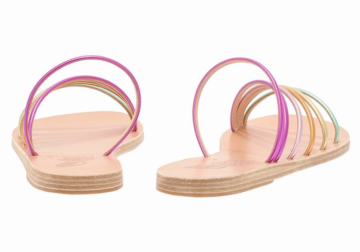 Women Ancient Greek Sandals Adriani Slide Sandals Gold Purple | JCN6182BK