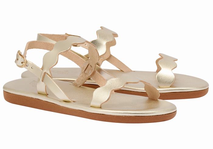 Women Ancient Greek Sandals Afros Back-Strap Sandals Gold White | SHR3153TR