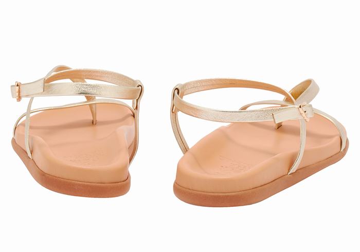 Women Ancient Greek Sandals Aimilia Back-Strap Sandals Gold White | LGU3233PB