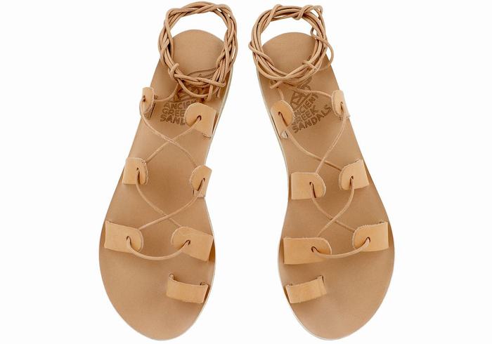 Women Ancient Greek Sandals Alcyone Leather Gladiator Sandals Beige | ZRB5249LX