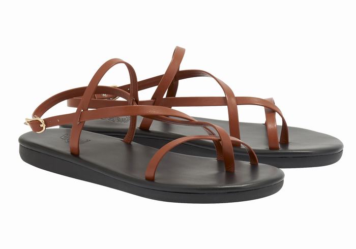 Women Ancient Greek Sandals Alethea Back-Strap Sandals Dark Brown | FPB6637BS