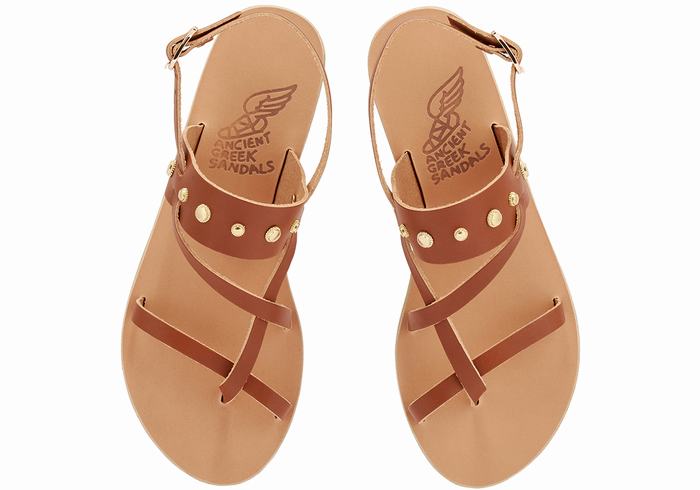 Women Ancient Greek Sandals Alethea Bee Back-Strap Sandals Dark Brown | KYJ8350VK