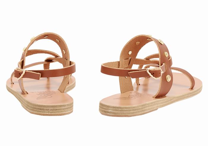 Women Ancient Greek Sandals Alethea Bee Back-Strap Sandals Dark Brown | KYJ8350VK