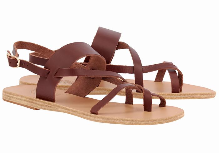 Women Ancient Greek Sandals Alethea Leather Back-Strap Sandals Coffee | LPW7466SW