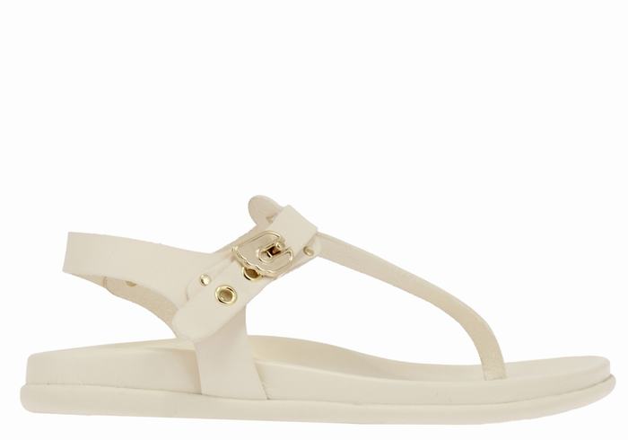 Women Ancient Greek Sandals Alki Flip Flop Back-Strap Sandals White | CXK6172CT