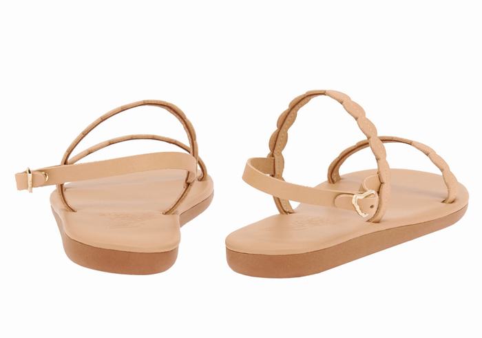 Women Ancient Greek Sandals Aroula Back-Strap Sandals Beige | WZV7862PS