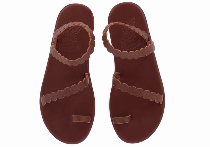 Women Ancient Greek Sandals Aura Toe-Post Sandals Coffee | GHZ3897FL