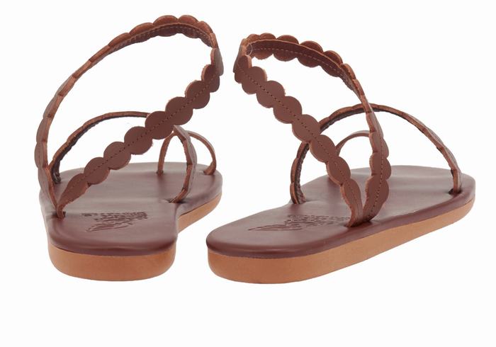 Women Ancient Greek Sandals Aura Toe-Post Sandals Coffee | GHZ3897FL