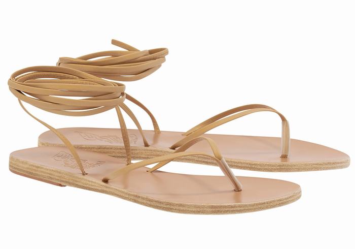 Women Ancient Greek Sandals Celia Gladiator Sandals Beige | CUI3217DJ