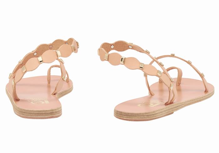 Women Ancient Greek Sandals Dauxerre Toe-Post Sandals Beige Gold | GFB4292PO