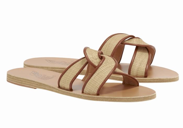 Women Ancient Greek Sandals Desmos Slide Sandals Beige Brown | DPG875RN