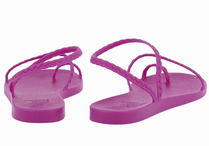 Women Ancient Greek Sandals Eleftheria Braided Sandals Purple | HVO1797ER