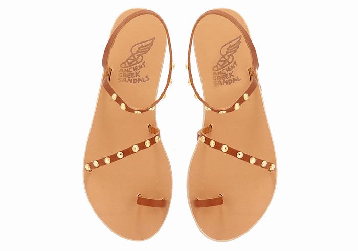 Women Ancient Greek Sandals Eleftheria Bee Toe-Post Sandals Dark Brown | TED7347DC