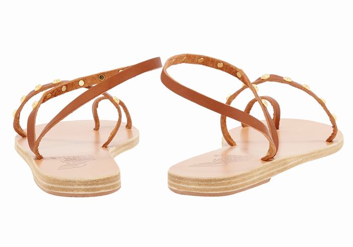 Women Ancient Greek Sandals Eleftheria Bee Toe-Post Sandals Dark Brown | TED7347DC