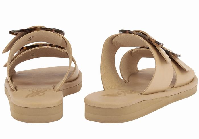 Women Ancient Greek Sandals Iaso Slide Sandals Beige | IBQ1486CV