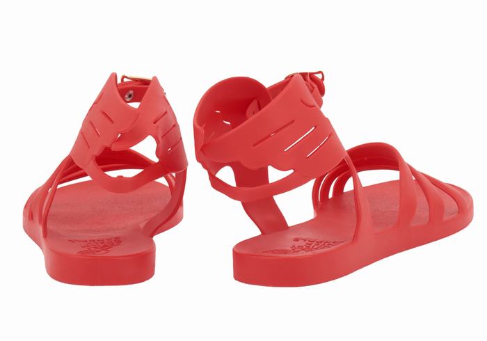 Women Ancient Greek Sandals Ikaria Ankle Strap Sandals Red | XLT4990LE