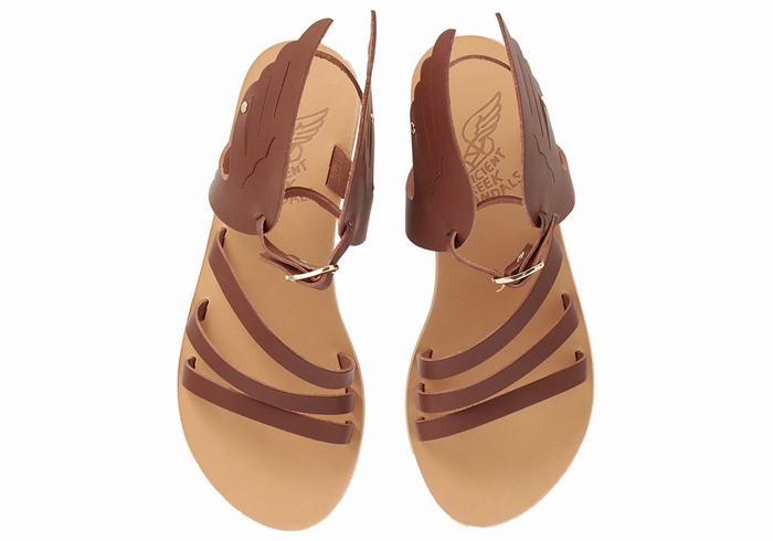 Women Ancient Greek Sandals Ikaria Leather Ankle Strap Sandals Coffee | AAW314CB