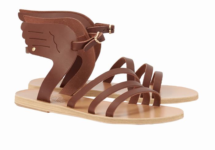 Women Ancient Greek Sandals Ikaria Leather Ankle Strap Sandals Coffee | AAW314CB