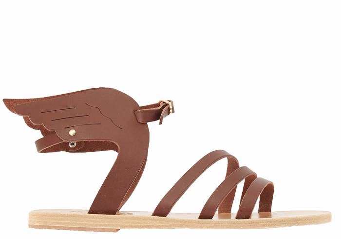 Women Ancient Greek Sandals Ikaria Leather Ankle Strap Sandals Coffee | AAW314CB