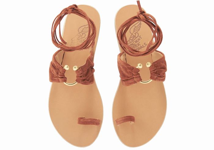 Women Ancient Greek Sandals Kerasia Gladiator Sandals Coffee | GMI6235WC