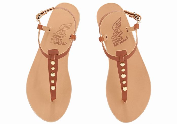 Women Ancient Greek Sandals Lito Bee Back-Strap Sandals Dark Brown | OSD3853TI