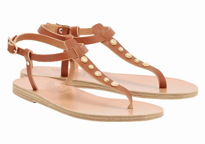 Women Ancient Greek Sandals Lito Bee Back-Strap Sandals Dark Brown | OSD3853TI