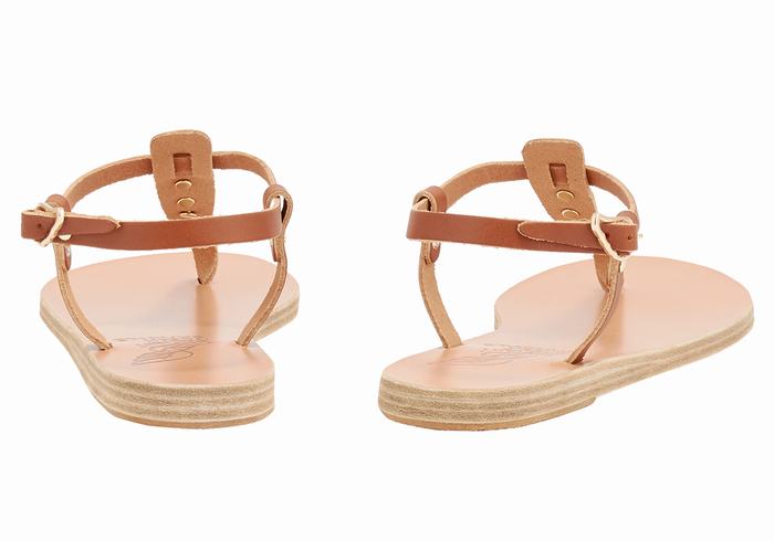 Women Ancient Greek Sandals Lito Bee Back-Strap Sandals Dark Brown | OSD3853TI