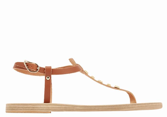 Women Ancient Greek Sandals Lito Bee Back-Strap Sandals Dark Brown | OSD3853TI