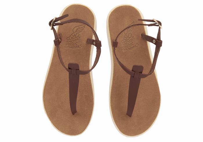 Women Ancient Greek Sandals Lito Comfort Back-Strap Sandals Coffee | WFY7165DH