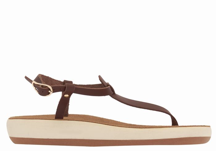 Women Ancient Greek Sandals Lito Comfort Back-Strap Sandals Coffee | WFY7165DH