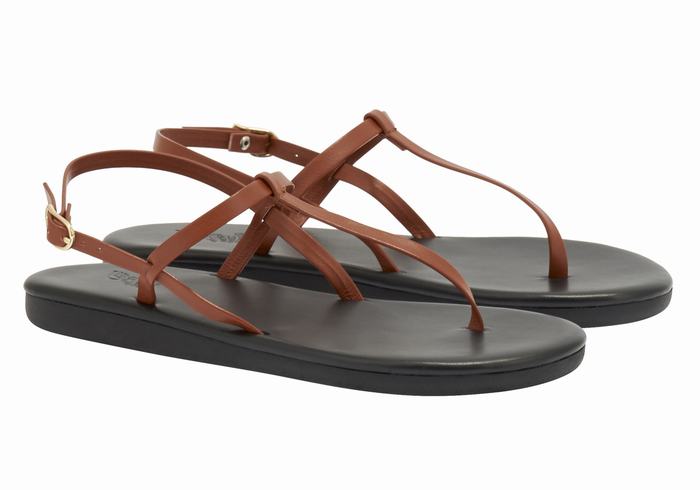 Women Ancient Greek Sandals Lito Flip Flop Back-Strap Sandals Dark Brown | FIJ6682YB