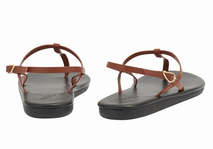 Women Ancient Greek Sandals Lito Flip Flop Back-Strap Sandals Dark Brown | FIJ6682YB