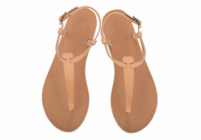 Women Ancient Greek Sandals Lito Flip Flop Leather Back-Strap Sandals Beige | TUZ1655KA