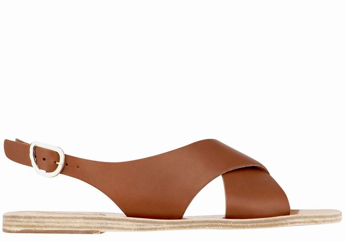 Women Ancient Greek Sandals Maria Leather Casual Sandals Dark Brown | ZBU51KR