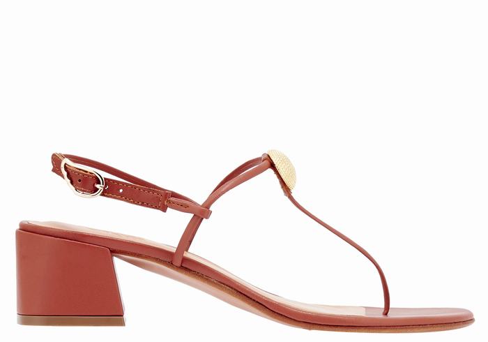 Women Ancient Greek Sandals Mistida Heeled Sandals Red | YUM226DP