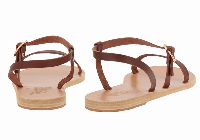 Women Ancient Greek Sandals Niove Leather Back-Strap Sandals Coffee | RTU6075IN