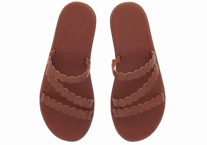 Women Ancient Greek Sandals Oceanis Slide Sandals Coffee | RZW5093EE